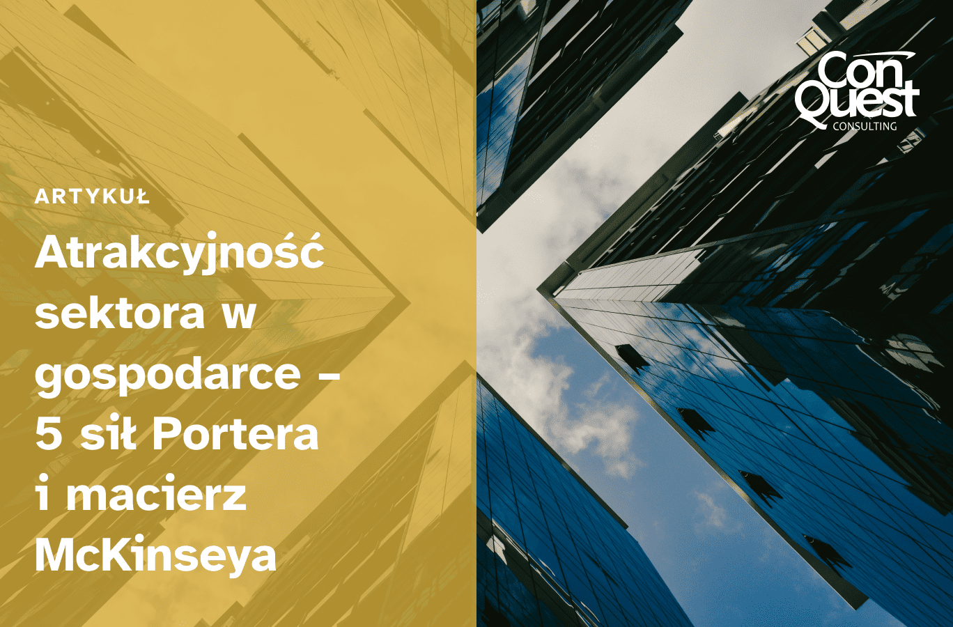 Okładka artykułu "Atrakcyjność sektora w gospodarce – 5 sił Portera i macierz McKinseya"