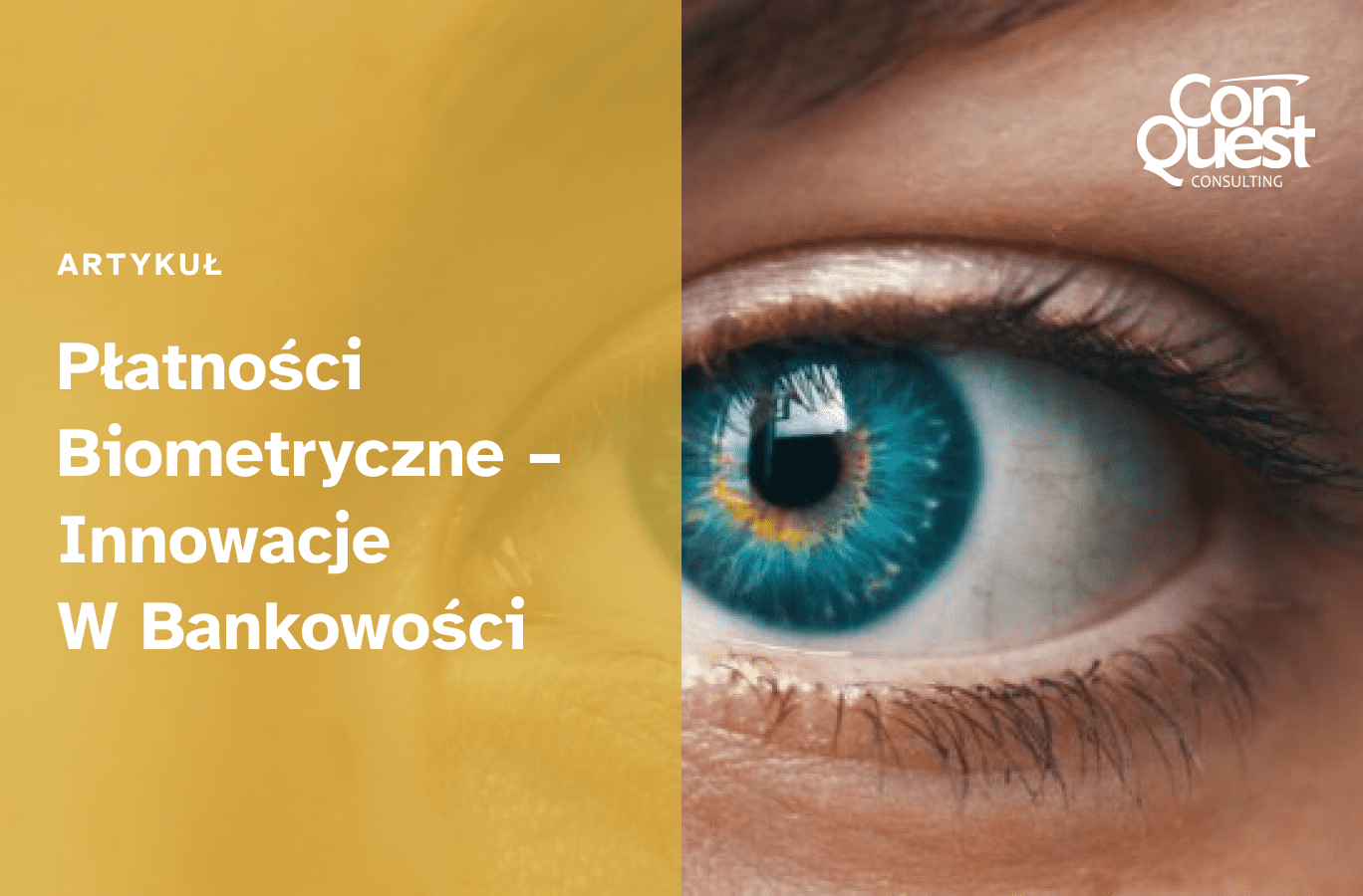 Okładka artykułu - "Płatności Biometryczne – Innowacje W Bankowości"