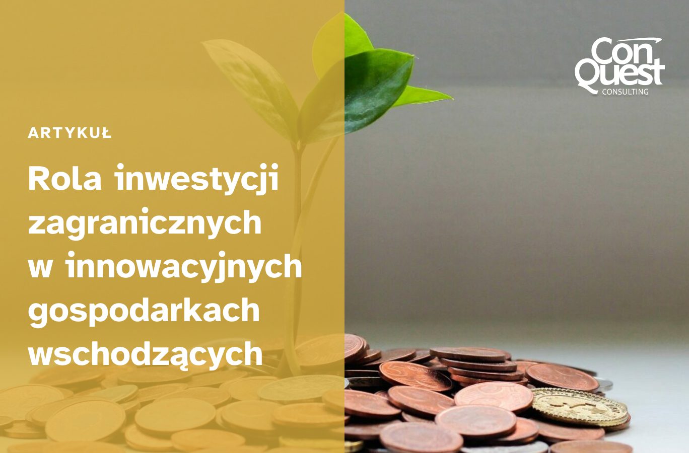 okładka artykułu - Rola inwestycji zagranicznych w innowacyjnych gospodarkach wschodzących