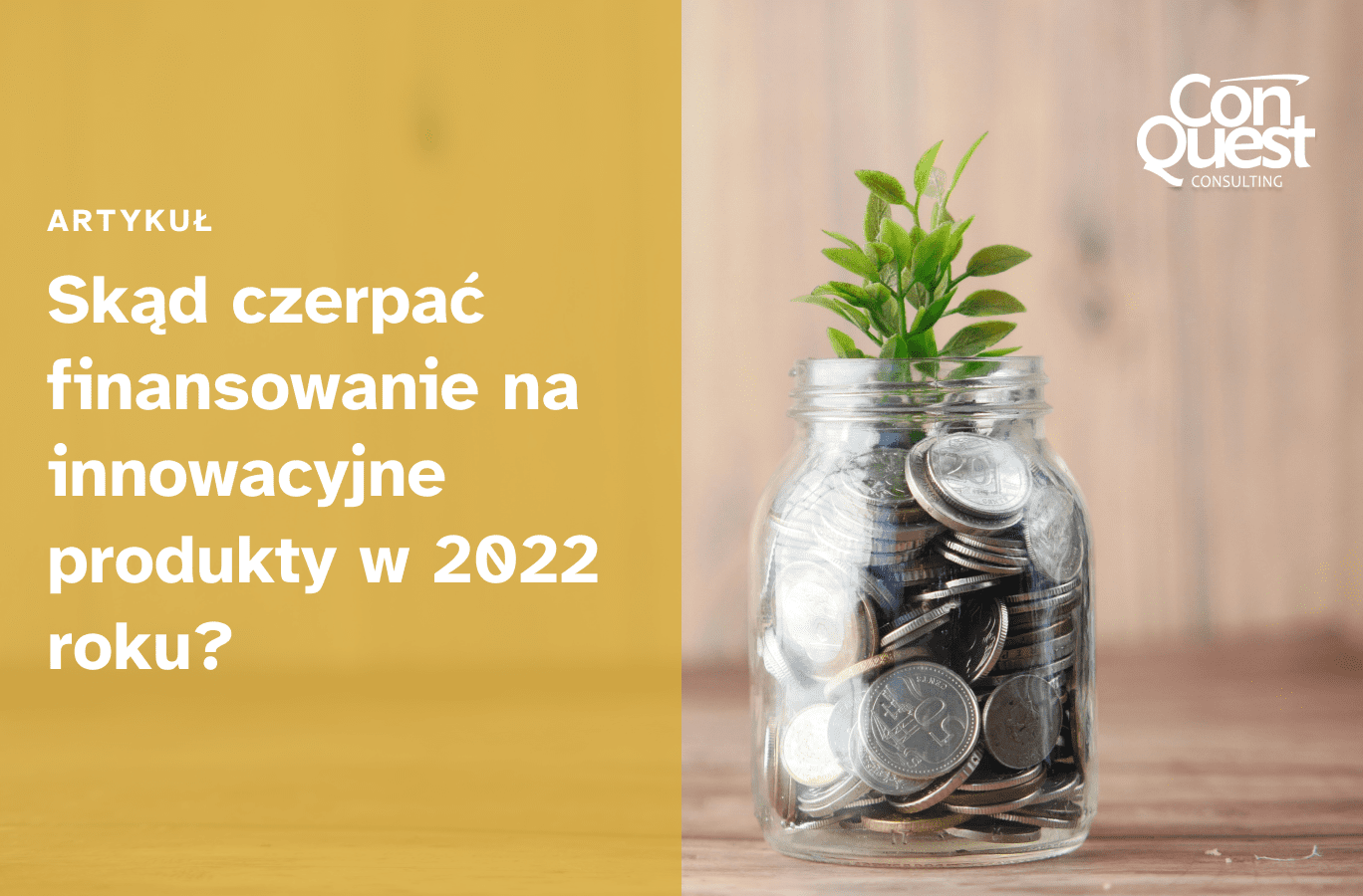 Okładka artykułu - Skąd czerpać finansowanie na innowacyjne produkty w 2022 roku?