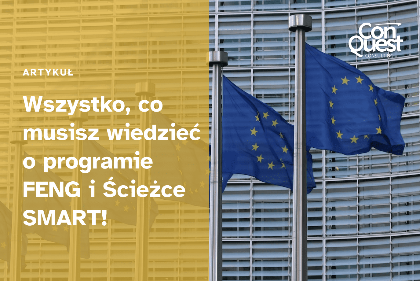Okładka artykułu - "Wszystko, co musisz wiedzieć o programie FENG i ścieżce SMART!"