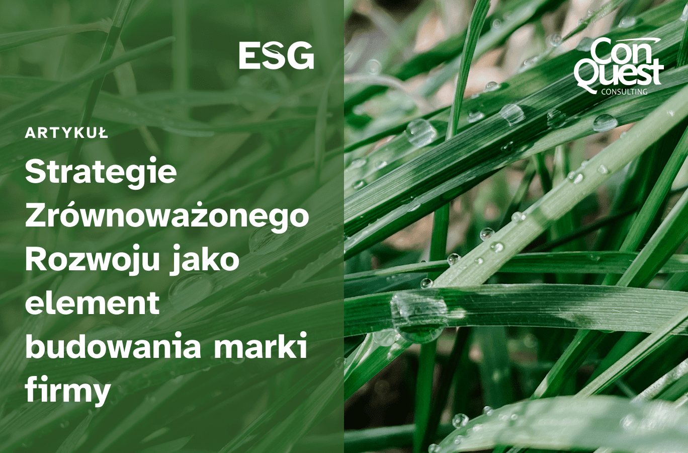 Okładka artykułu - "Strategie Zrównoważonego Rozwoju jako element budowania marki firmy"