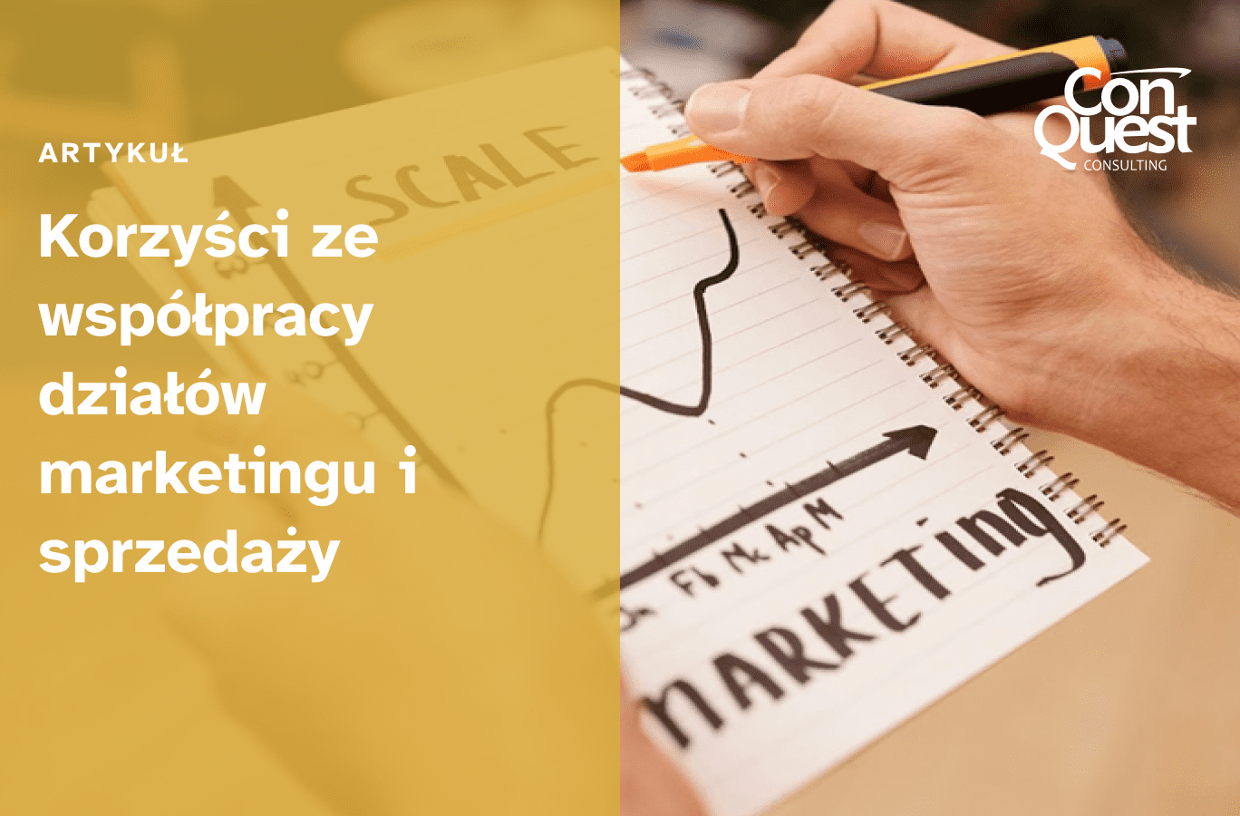 Okładka artykułu - "Korzyści ze współpracy działów marketingu i sprzedaży"