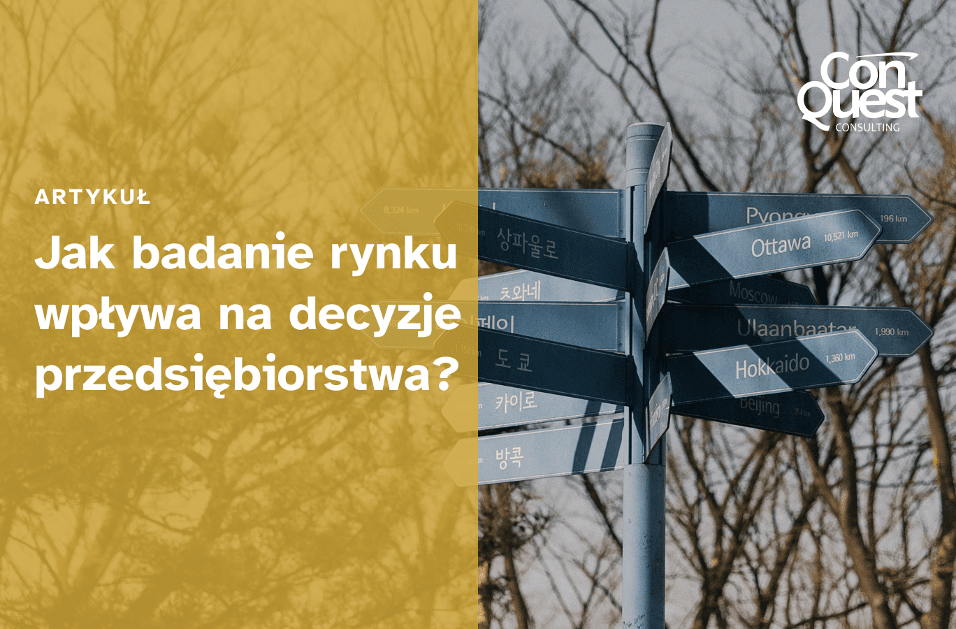 Okładka artykułu "Jak badanie rynku wpływa na decyzje przedsiębiorstwa?"