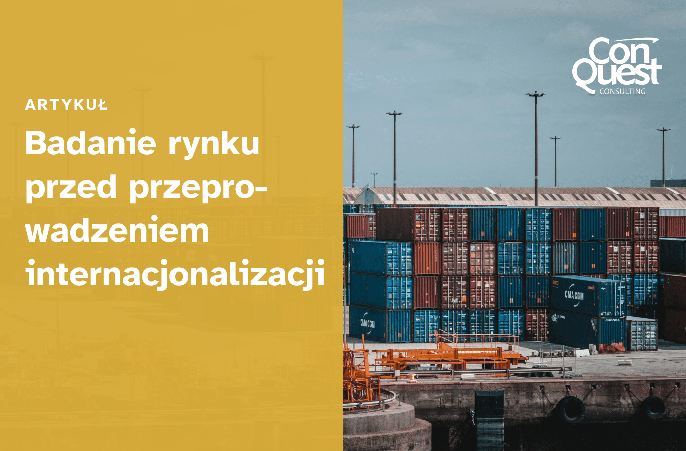Okładka artykułu "Badanie rynku przed przeprowadzeniem internacjonalizacji"
