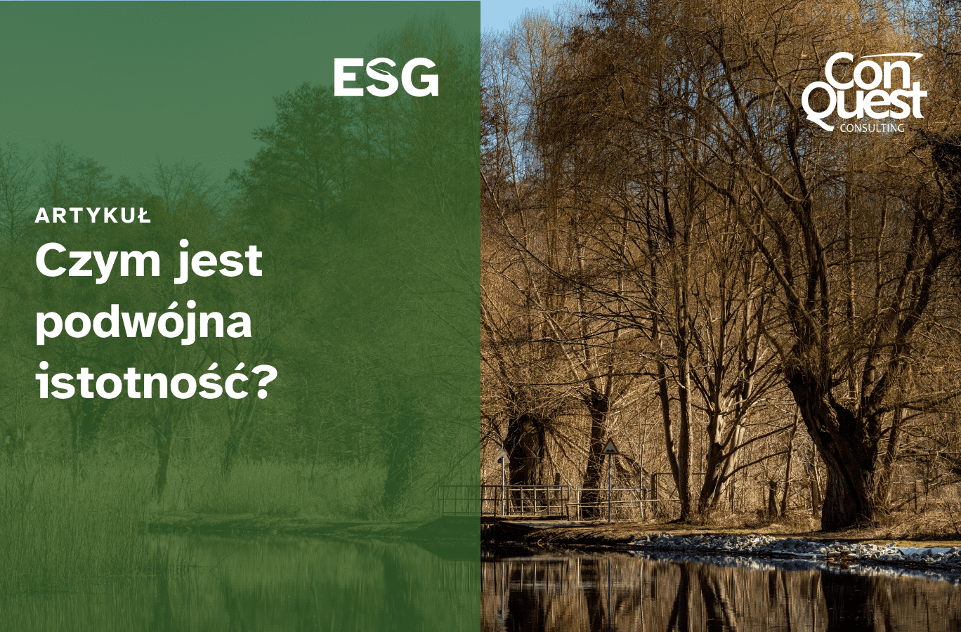 Okładka artykułu ,,Czym jest podwójna istotność? - ESG''