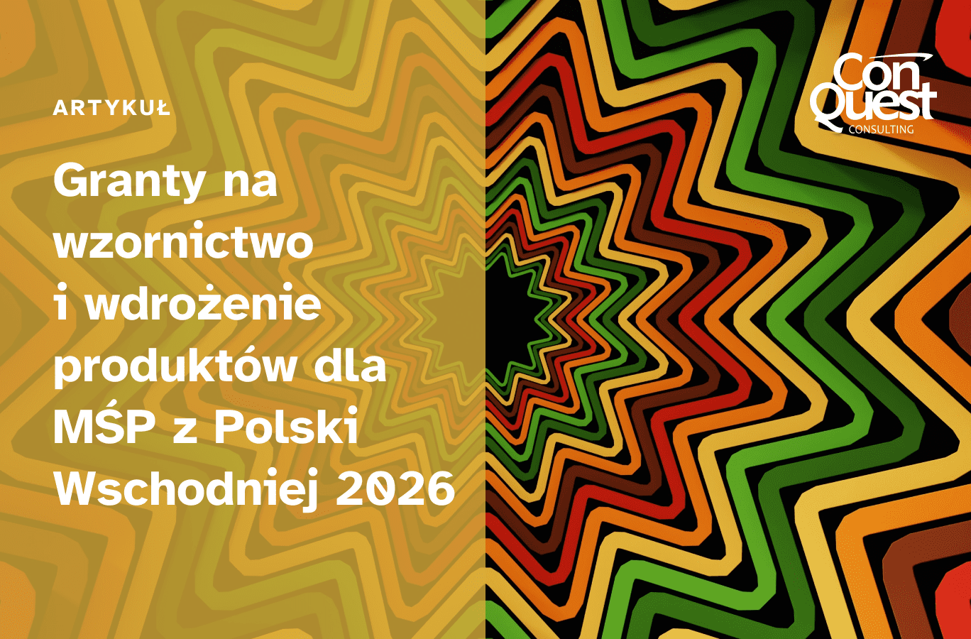 Portada artykułu: "Subsidios para el diseño y la implementación de productos para PYMES del este de Polonia 2026"